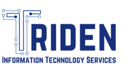 Triden IT Solutions Logo